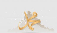 صورة مقال موضوع تعبير عن صفات الرسول