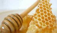 صورة مقال ما هي فوائد غذاء ملكات النحل للبشرة