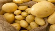 صورة مقال طريقة حفظ البطاطس بقشرها