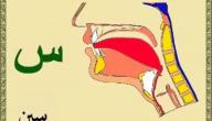 صورة مقال صفات الحروف ومخارجها