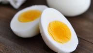 صورة مقال طرق سلق البيض