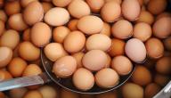 صورة مقال كيفية سلق البيض