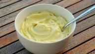 صورة مقال طريقة تحضير المايونيز