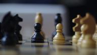 صورة مقال ما هو اصل لعبة الشطرنج
