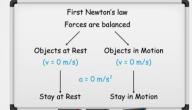 صورة مقال تعريف قانون نيوتن الأول