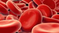 صورة مقال وصفات طبيعية لعلاج فقر الدم