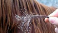 صورة مقال علاج تقصف الشعر وتطويله