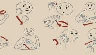 صورة مقال تعريف لغة الإشارة