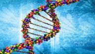 صورة مقال كيف يتم عمل تحليل DNA
