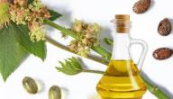 صورة مقال كيفية صنع زيت الخروع في البيت