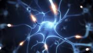 صورة مقال ما هو ضعف الأعصاب