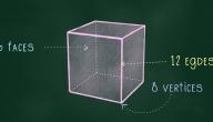 عدد أضلاع المكعب