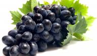 صورة مقال فوائد العنب الأسود للبشرة