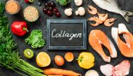 صورة مقال فوائد الكولاجين للعظام
