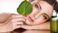 صورة مقال فوائد زيت النعناع للبشرة الدهنية