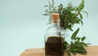 صورة مقال فوائد زيت السدر للجسم