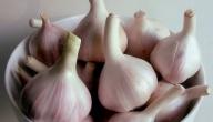 صورة مقال فوائد الثوم للصدر