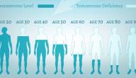 صورة مقال فوائد وأضرار هرمون التستوستيرون