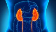 صورة مقال علامات ارتفاع الكرياتينين