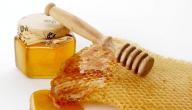 صورة مقال فوائد عسل النحل السدر الجبلي
