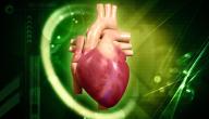 صورة مقال ما هي أعراض ضعف عضلة القلب
