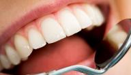 صورة مقال من ماذا تتكون الأسنان