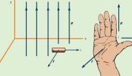 صورة مقال قانون القوة المغناطيسية