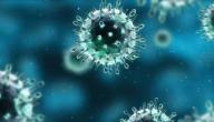 صورة مقال الفرق بين فيروس كورونا والإنفلونزا
