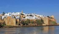 صورة مقال مدينة الرباط وآثارها