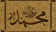 صورة مقال احاديث للرسول صلى الله عليه وسلم