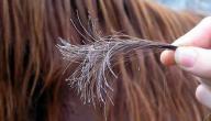 صورة مقال طرق معالجة الشعر التالف والمتقصف