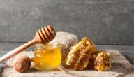 صورة مقال ما هي فوائد العسل
