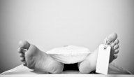 صورة مقال متى يبدأ جسم الميت بالتحلل