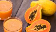 صورة مقال طريقة عمل عصير فاكهة البابايا