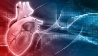 صورة مقال آلية عمل قلب الإنسان