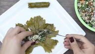 صورة مقال طريقة عمل محشي ورق العنب الصيامي