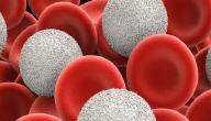 صورة مقال لون كريات الدم البيضاء