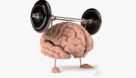 صورة مقال فوائد الرياضة للعقل - فيديو