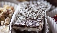 صورة مقال وصفة ألواح الشوكولاتة بكرات جوز الهند - فيديو