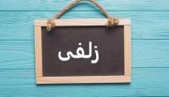 ما معنى زلفى
