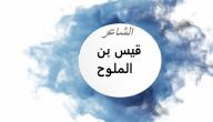 صورة مقال نبذة عن الشاعر قيس بن الملوح