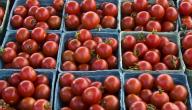 صورة مقال كيفية حفظ الطماطم لمدة طويلة