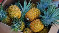 صورة مقال فوائد الأناناس الصحية