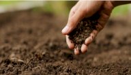 صورة مقال الخصائص الفيزيائية والكيميائية للتربة