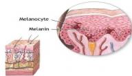 صورة مقال ما هي صبغة الميلانين