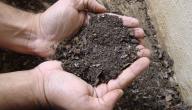 صورة مقال كيف تصنع سماداً طبيعياً