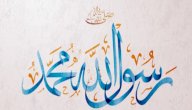 أجمل ما قيل في رسول الله
