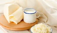 صورة مقال كيف تصنع الجبن في البيت