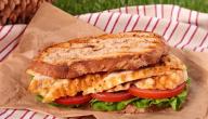 صورة مقال طريقة عمل سندويشات دجاج سهلة