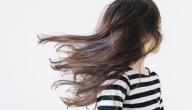 صورة مقال ما هو الفيلر للشعر